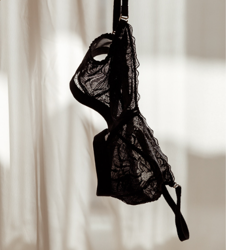 Sustainable Lingerie 